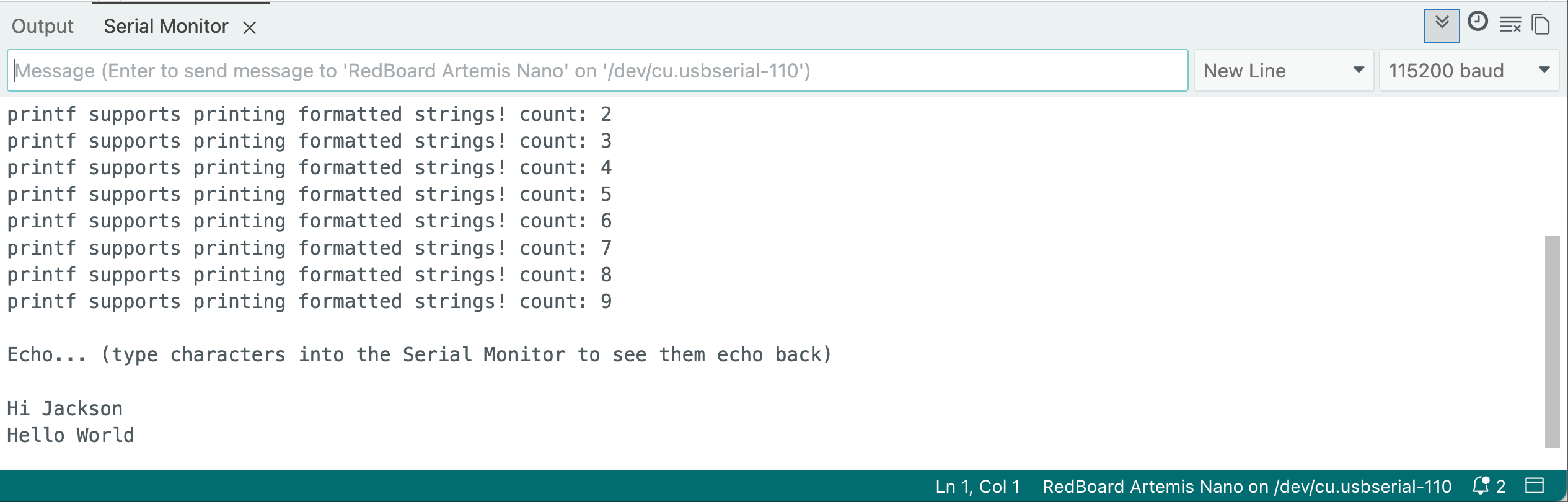 Serial Monitor Screenshot